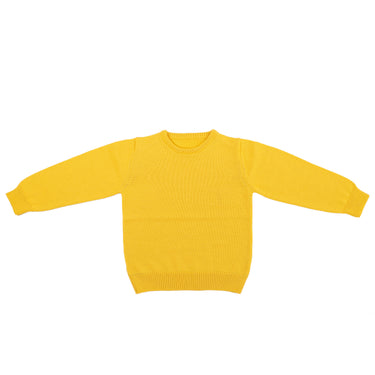 Pure new wool Sweater