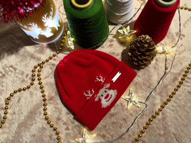 Berretto in lana merinos RUDOLF